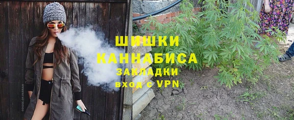 гидра Абаза