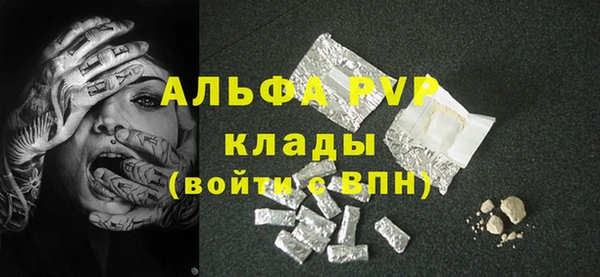 гидра Абаза