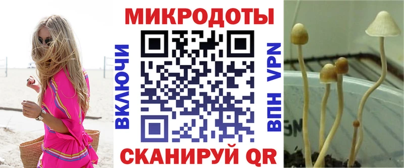 Галлюциногенные грибы Magic Shrooms  закладка  Белоусово 